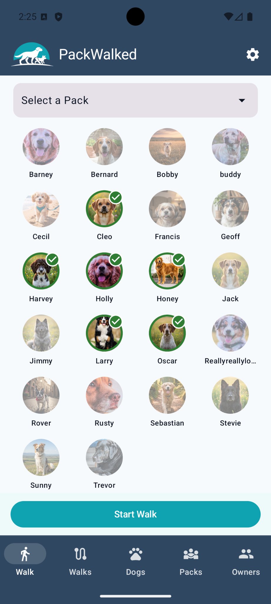 PackWalked active walk screen